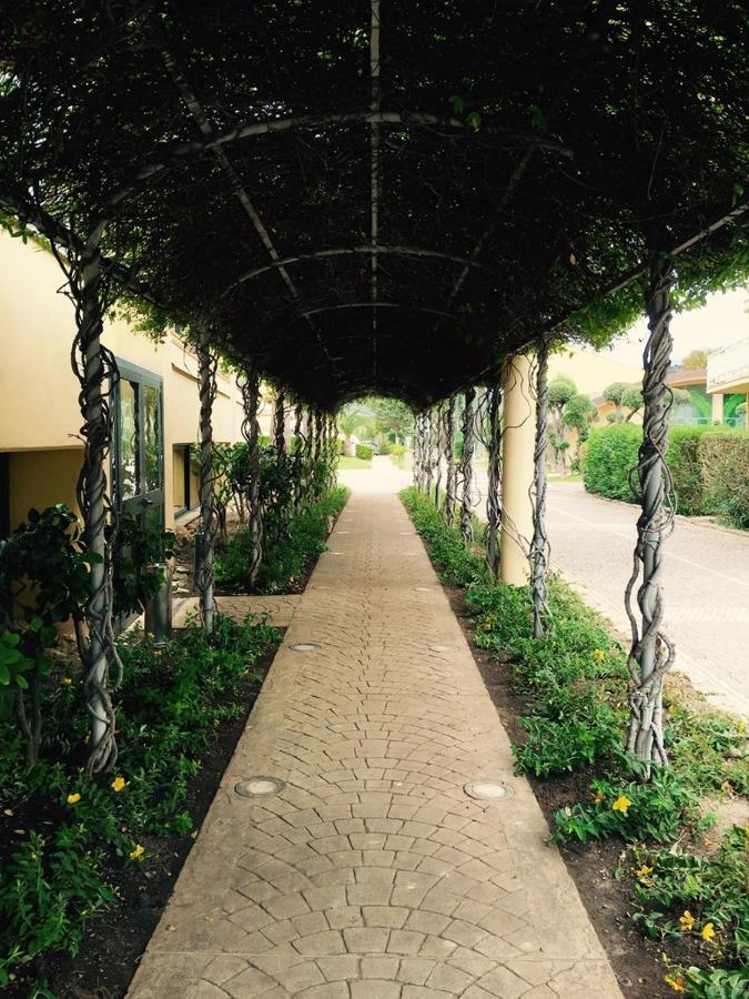 Hotel La Principessa Amantea Extérieur photo
